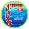 cifulkoi