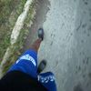 moly_r17