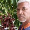 abdulmalekmansor
