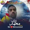 syedsafeershah931