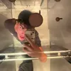 arxontidhs