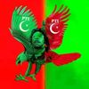 shamshurahman4