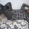 user9225431411493