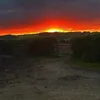 the_official_jayden27