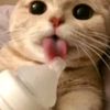 ..3sqkivel..1111