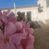 nirninie