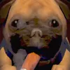 megaprocr