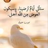user2577376302966