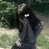 a_ylli1