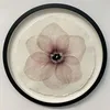 8.ol_