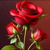 imadbazzi98