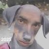 ricky.raichans