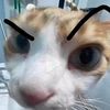katia_nb_4