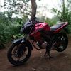 bang_tahek