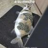 carlosjolon278