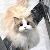 kitapernahdekat