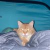 leah_carlson23