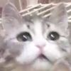 kykydms