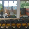dariobetonio7