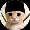 arfi_fi1