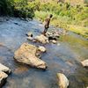 bro_sidim_69