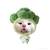 _dieuul