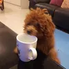 youmingwan05