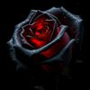 bahar__59