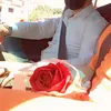 flower__nn1