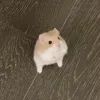 macvu_1369