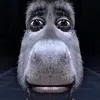 okeska_01