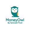 moneyowlsg