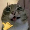 user_143jdhhshs