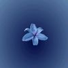 nathanieldarren124