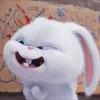 thuhong210396