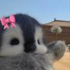 mishi_khan85