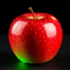 zack_grimes0