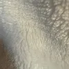 sarahadam8213