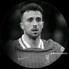 domin1_6