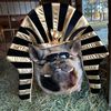 thewinstonthepig