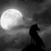 adamko___89011