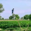 attiqurrehman729
