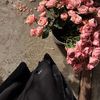 حوّاء 