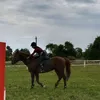 my_horse_elis