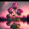 userq0jtqerl92
