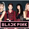 pinks2944