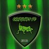 chapulines.fc