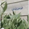 userhbb2kp0y313