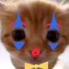 terry_galletita20