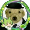 perro_fino_02